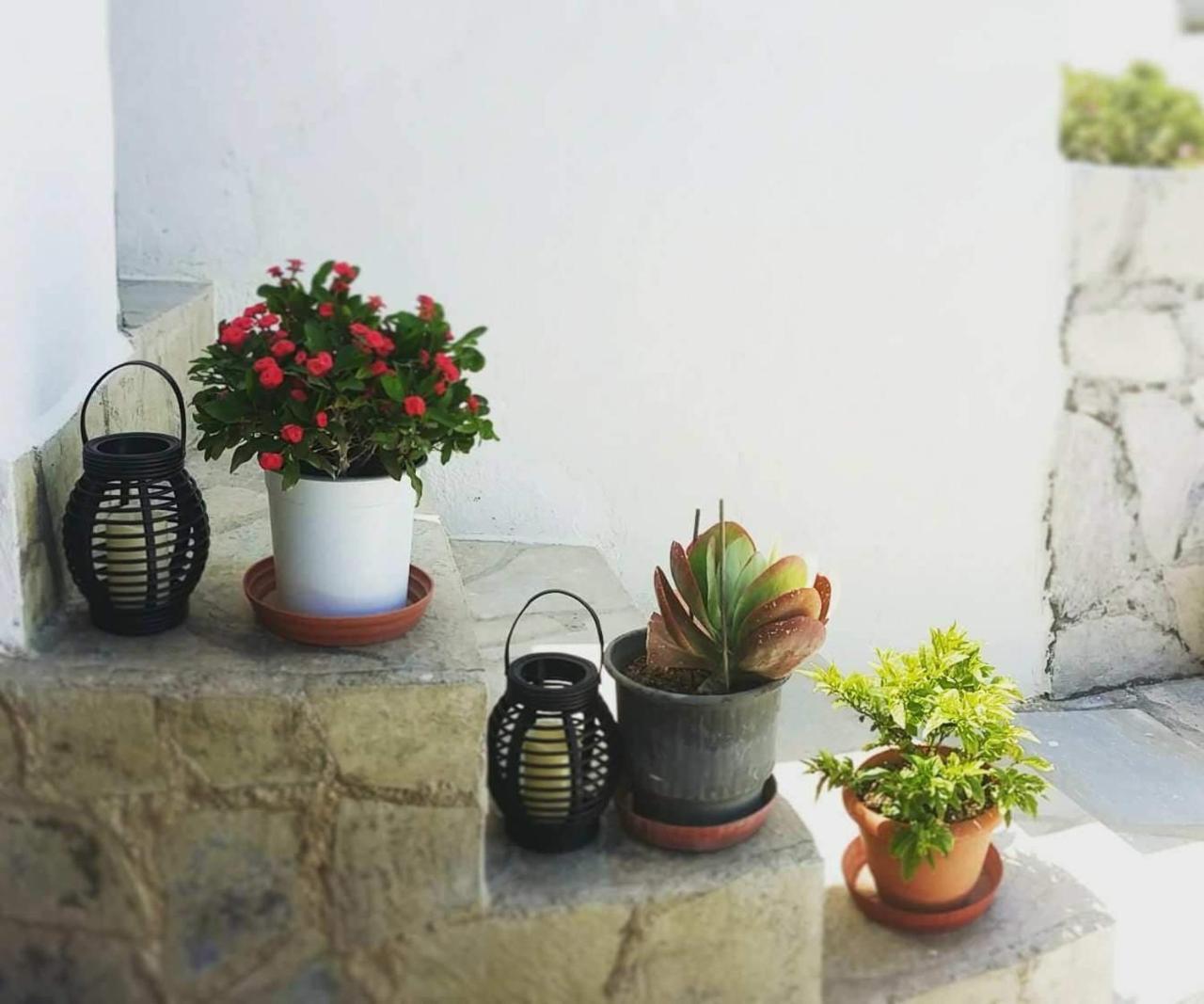 Spiros Apartments Livadia  외부 사진